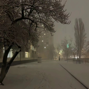 无码A级毛片免费视频内谢
