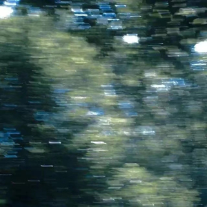 无码A级毛片免费视频内谢
